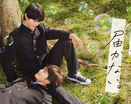 泛页面关键词0129