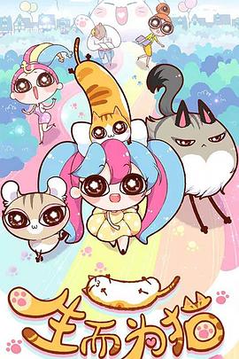 泛页面关键词0235